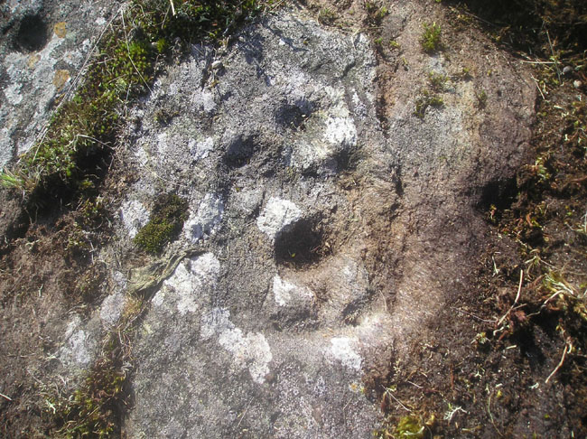 Image of Balnabodach (Cup and Ring Marks / Rock Art) by tiompan