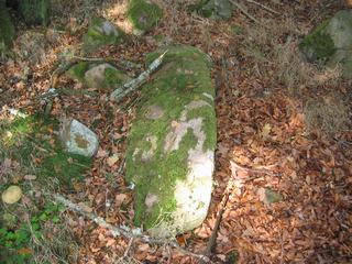 Image of Midmar Kirk (Stone Circle) by Chris