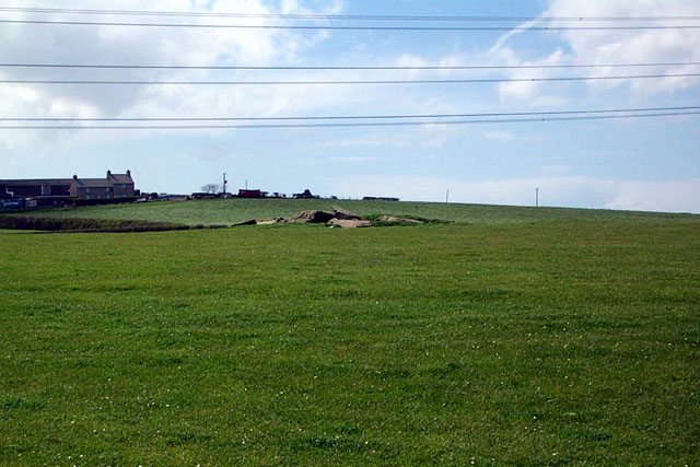 Image of Foel Fawr (Burial Chamber) by IronMan