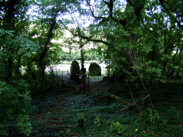 Image of The Nine Stones of Winterbourne Abbas (Stone Circle) by texlahoma