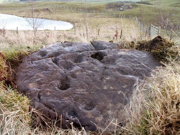 Image of Park of Tongland 2 (Cup Marked Stone) by rockartwolf