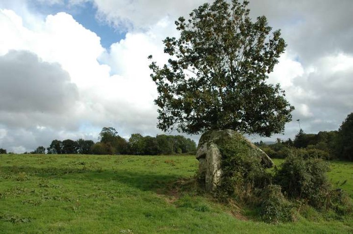 Image of Glencloghlea (Portal Tomb) by ryaner