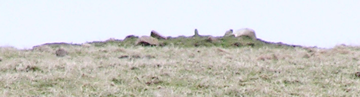 Image of Crustan (Round Barrow(s)) by wideford