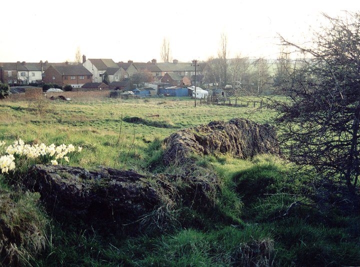 Image of Dragonby (Rocky Outcrop) by Chris Collyer