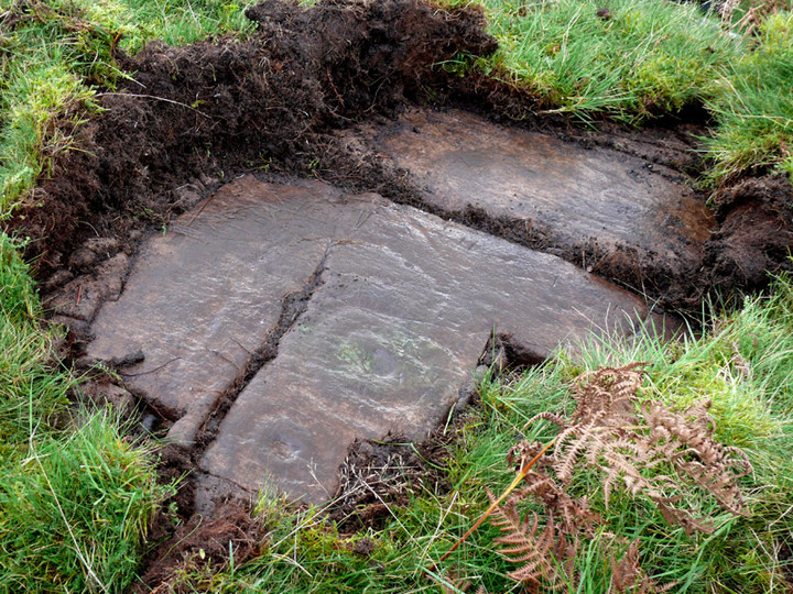 Image of Newlaw Hill 2 (Cup and Ring Marks / Rock Art) by rockartwolf