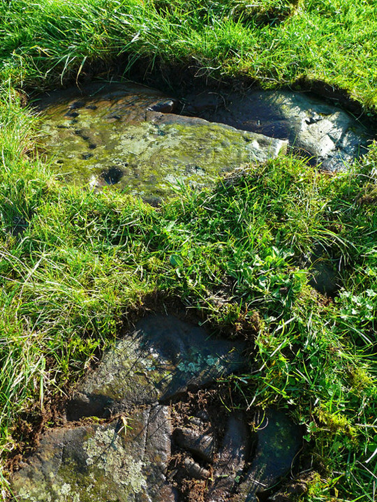 Image of High Grange 1 (Cup and Ring Marks / Rock Art) by rockartwolf