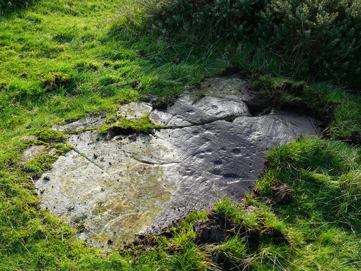 Image of Knockshinnie 2 (Cup and Ring Marks / Rock Art) by rockartwolf