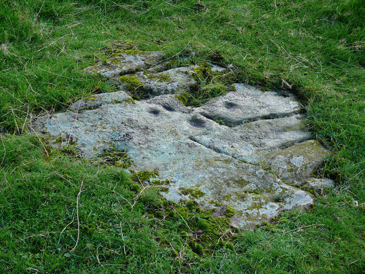 Image of Knockshinnie 2 (Cup and Ring Marks / Rock Art) by rockartwolf