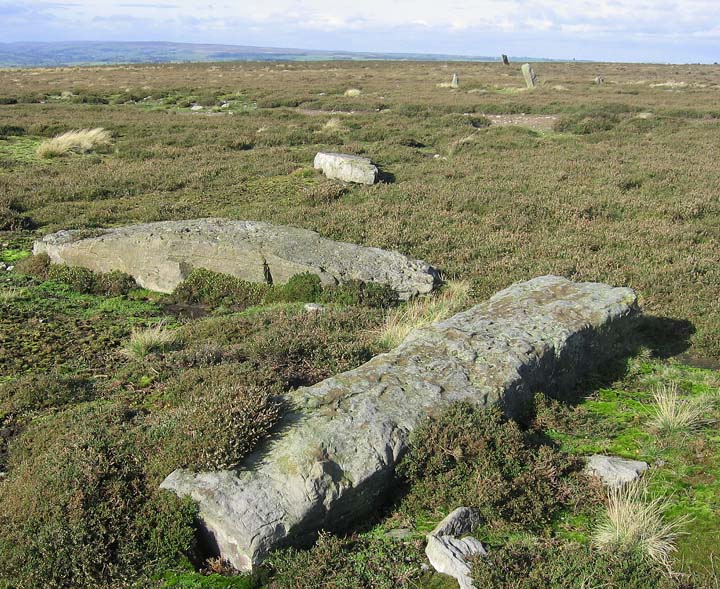 Image of High Bridestones (Stone Circle) by fitzcoraldo