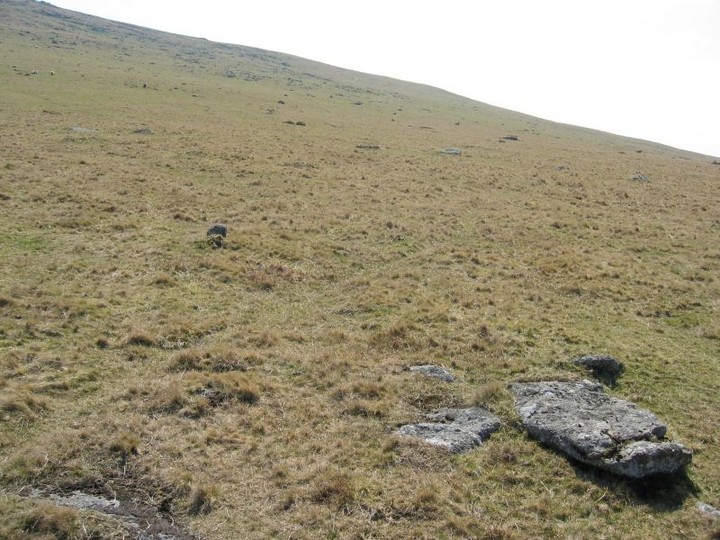 Image of Sourton Tors Circle (Stone Circle) by Meic