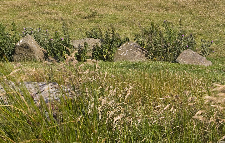 Image of Cloghafadd (Court Tomb) by minipixel