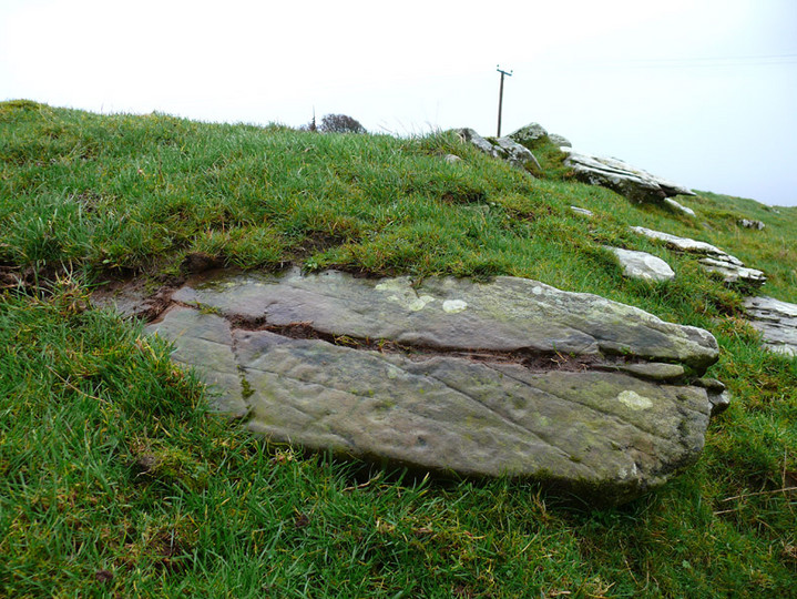 Image of Bardristane 1 (Cup and Ring Marks / Rock Art) by rockartwolf