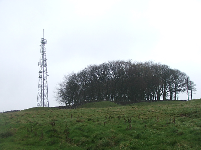 Image of Tideslow (Chambered Cairn) by postman