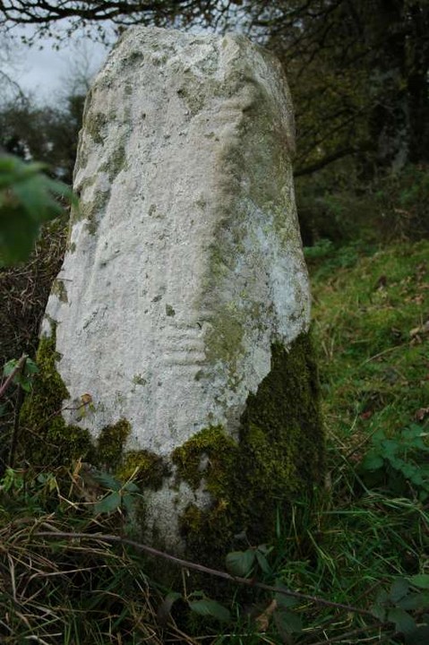 Image of Bellanagare (Standing Stones) by ryaner