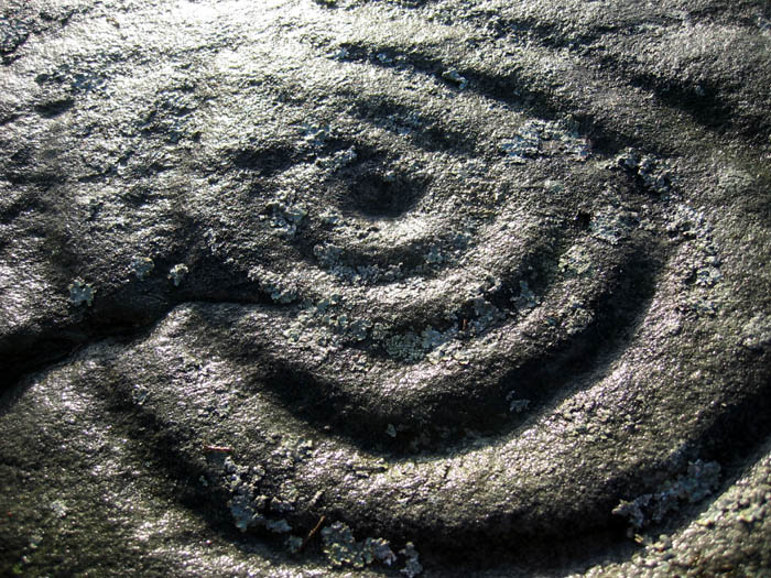 Image of Coldmartin Loughs 1-2 (Cup and Ring Marks / Rock Art) by rockandy