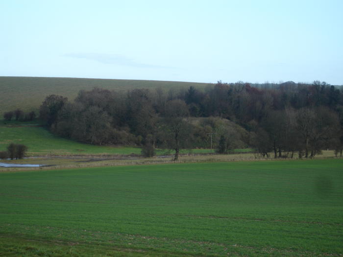 Image of Silbaby (Artificial Mound) by moss