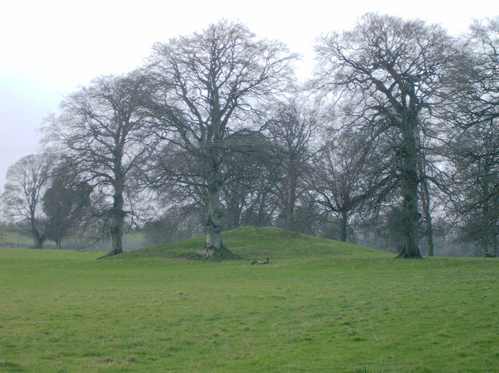 Image of Portloman (Round Barrow(s)) by Alan Lee