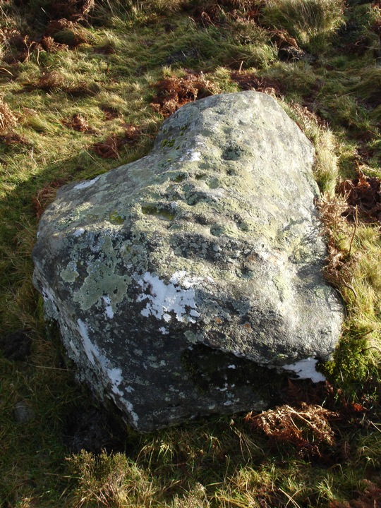 Image of Braes of Foss (Cup Marked Stone) by BigSweetie