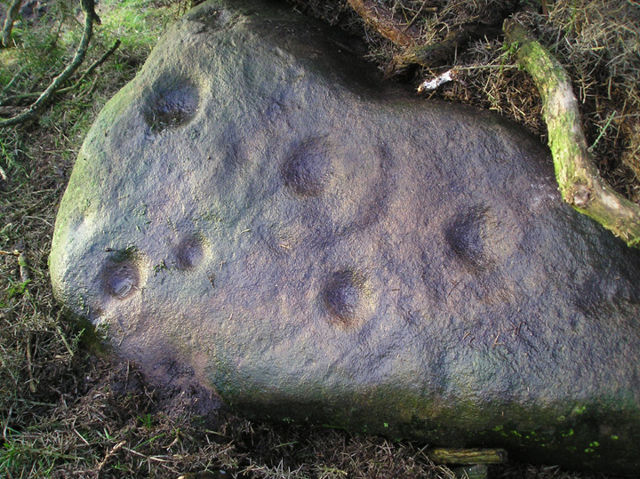 Image of Hill of Prieston (Cup and Ring Marks / Rock Art) by tiompan