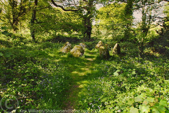 Image of Lissyvigeen (Stone Circle) by CianMcLiam