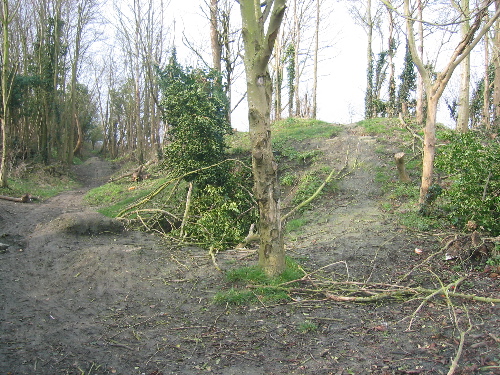 Image of Round Hill Mound (Artificial Mound) by wysefool