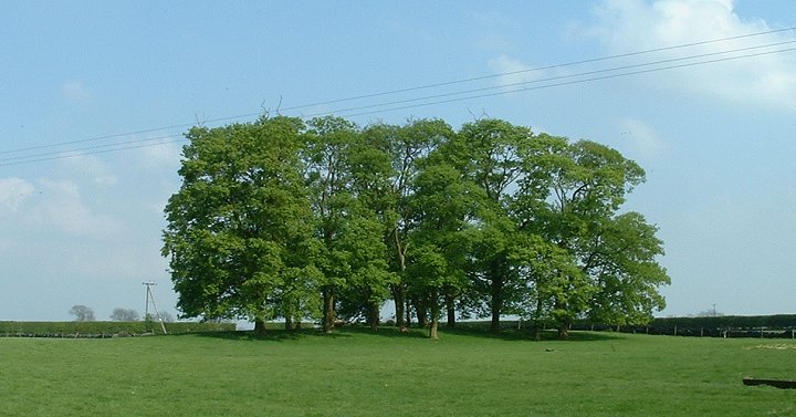 Image of Hills Brough Long Barrow by Chris Collyer