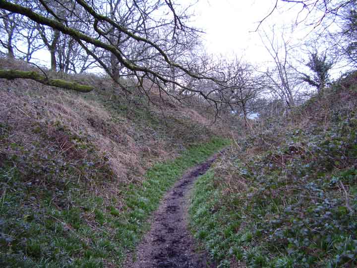 Image of Coney’s Castle (Hillfort) by formicaant