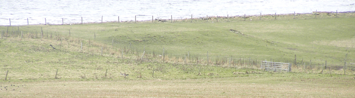 Image of Backland (Broch) by wideford