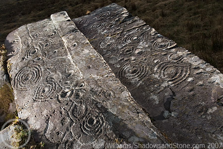 Image of Derrynablaha 5 (Cup and Ring Marks / Rock Art) by CianMcLiam