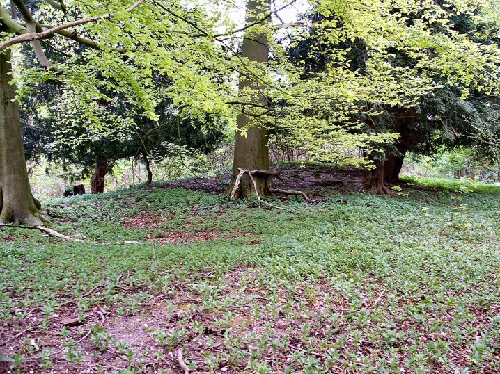 Image of Longwood House Long Barrow by jimit