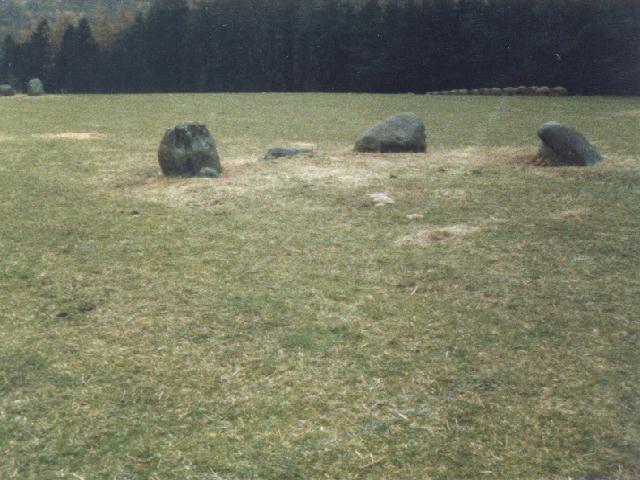 Image of Fortingall (Stone Circle) by Martin