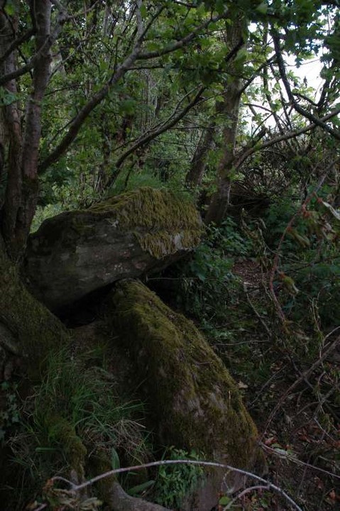 Image of Drumsallagh (Wedge Tomb) by ryaner