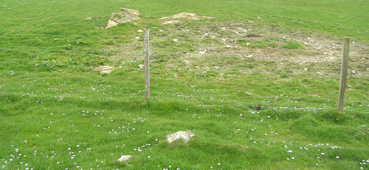 Image of Staney Hill (Chambered Cairn) by wideford