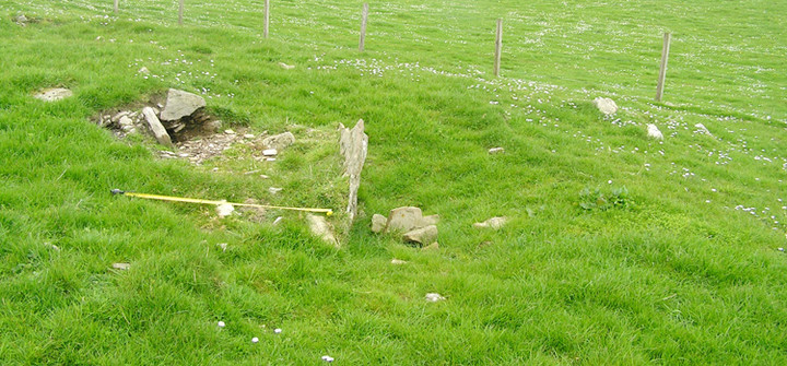 Image of Staney Hill (Chambered Cairn) by wideford