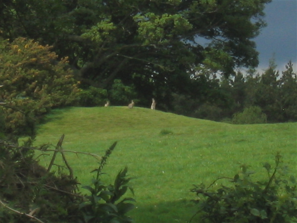 Image of Little Coxwell Camp (Hillfort) by wysefool