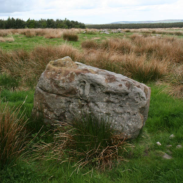 Image of Whitsunbank 3 (Cup and Ring Marks / Rock Art) by Hob