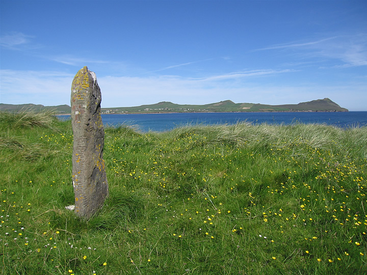 Image of Ballinrannig (Standing Stone / Menhir) by Bonzo the Cat