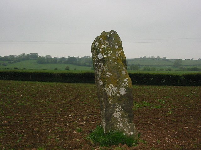 Image of Llanddyfnan (Standing Stone / Menhir) by stubob