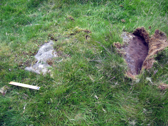 Image of Howden Hill (Northumberland) (Cup Marked Stone) by rockandy