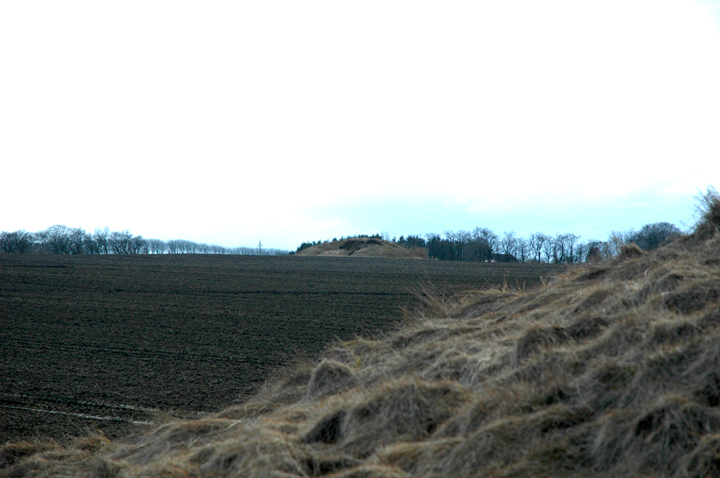 Image of Snibhøj by Jane