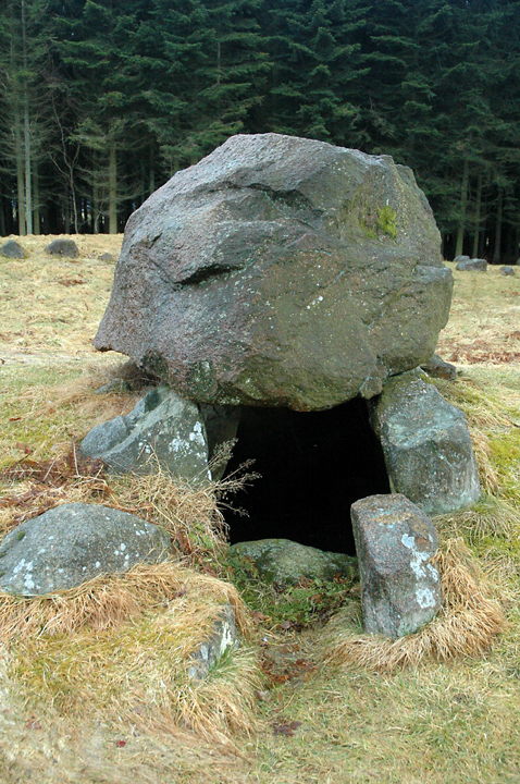 Image of Lindeskov Langdysse 3 by Moth