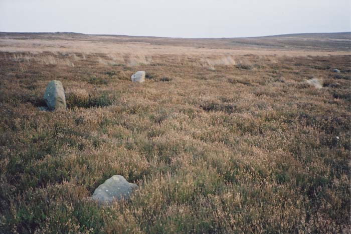Image of Commondale (Stone Circle) by jobbo