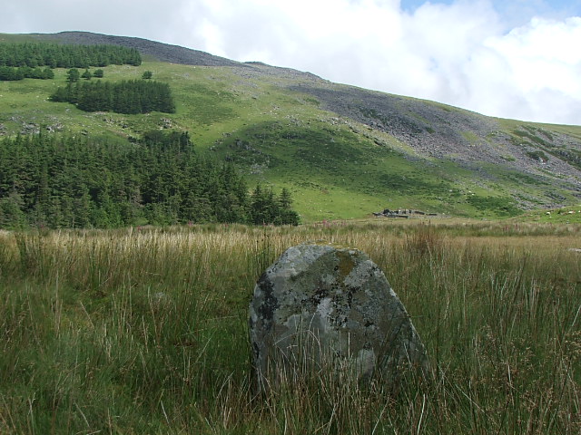 Image of Pont Scethin standing stones by postman