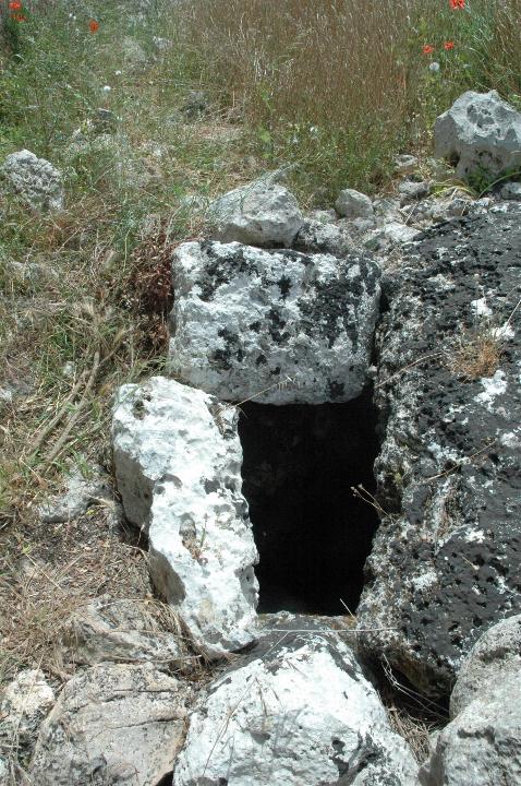 Image of Sant Agusti Vell (Poblat) by Moth