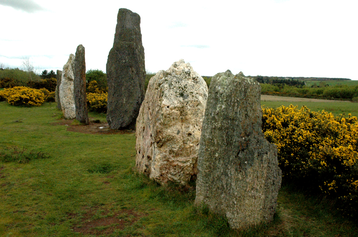Image of South row (Stone Row / Alignment) by Jane