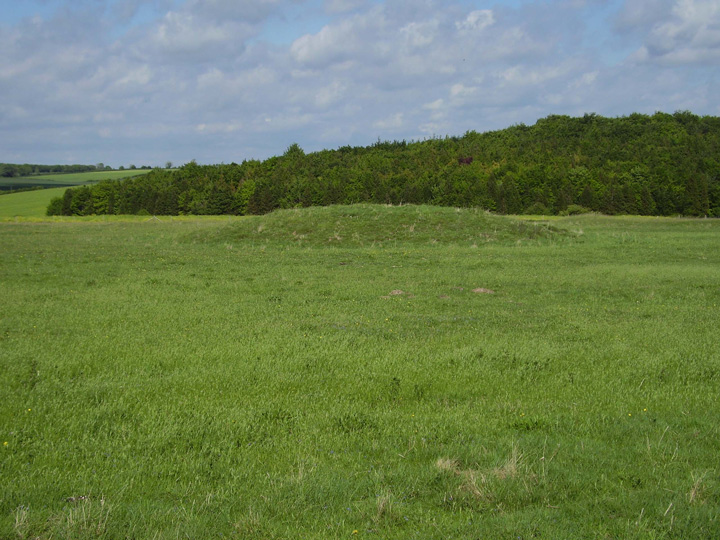 Image of Oakley Down (Barrow / Cairn Cemetery) by formicaant