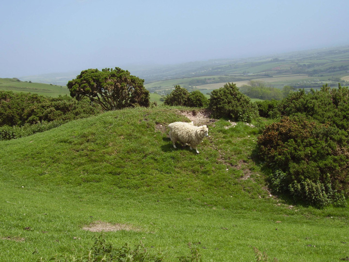 Image of White Hill Barrows by formicaant