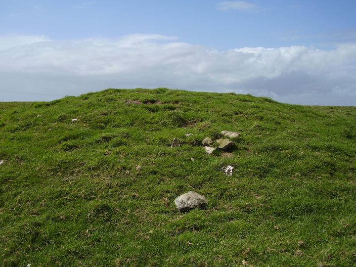 Image of White Hill Barrows by formicaant