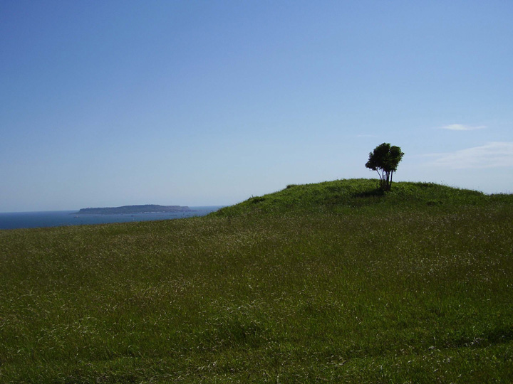 Image of East Hill Barrows by formicaant