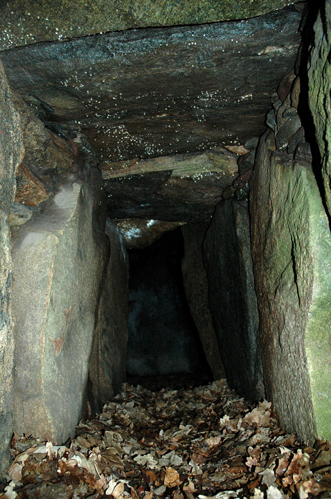 Image of Kongehøjen ved Voldstedlund (Langdysse) by Moth